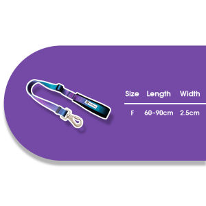 Hamshmoc dây xích an toàn cho thú cưng có thể điều chỉnh chì với mềm Grip bền nylon cho mọi chú chó