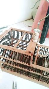 Kandang Jebak Burung Kecil: Praktis, Mudah Dibersihkan, dan Tahan Lama