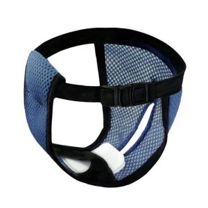 Pet Briefs Breathable Mesh Reusable Menstruation Shorts Dog Anti-harassment Physiological Pants for Female Dogs