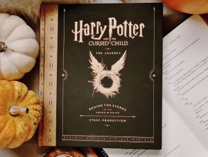 Harry Potter and the Cursed Child: The Journey