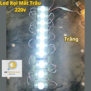 Đèn Bảng Hiệu Led rọi mắt trâu 220v siêu sáng 1.5W led hắt rọi lúp (1 dây 10 thanh 1m)