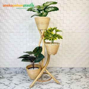Standing Cover Pot Rotan 3 Susun Zigzag Set Bundling Tanaman Hias Pohon Beringin Dollar Pohon Sri Rejeki Pohon Alocasia Violet Dekorasi Rumah Hiasan Ruang Tamu