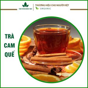 Set 10 trà Cam Quế (Trà Thơm Miệng Hỗ Trợ Giảm Cân)