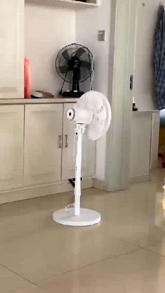 Buyer review video 6