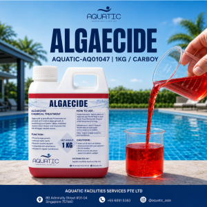Algaecide For Swimming Pool 1KG | Pool Algae Remover | Kill and Prevent Green Water Algae Treatment
