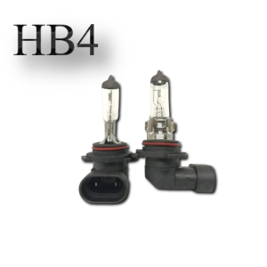 BOHLAM LAMPU FOGLAMP MOBIL HB4 12V 100W  H11 12V/24V 100W HALOGEN PREMIUM ORIGINAL