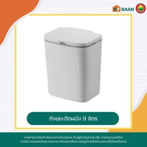 ถังขยะติดผนัง wall mounted trash can มี 2 ขนาด 7L 16x24x22cm 9L 16x24x29cm สีขาว สีเขียว ถังขยะแขวน ถังขยะแขวนผนัง ถังขยะตั้งพื้น ถังขยะ มีฝาปิด ถังขยะในครัว ที่ใส่ขยะ ถังขยะมินิมอล ถังขยะพลาสติก ถังขยะในห้องน้ำ ถังขยะทั่วไป ถังขะยะ มิตสห Mitsaha Hybaan
