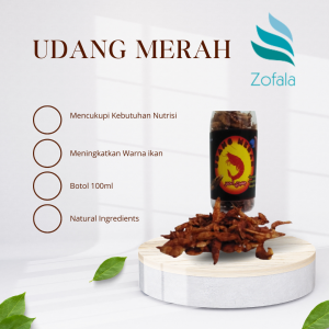 Paket Pakan Channa Maru progres cabung/bunga & bar ikan chana