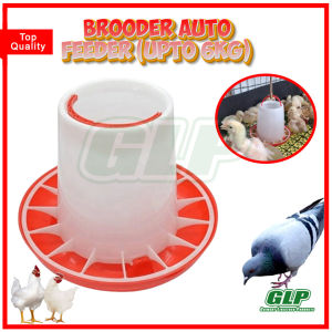 GLP Brooder Automatic Round | Linear Feeder for Poultry Chicken Painuman at Patukaan ng Manok