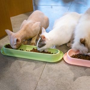 PETPARADIS ป้องกันการกระเจิง ชามอาหารแมวแบบยาว กันลื่น ป้องกันการพลิกคว่ำ แมวจานเดี่ยวยาว ชามให้อาหารแมวเอียง ชมพู/เขียว/เหลืองค่ะ ชามสัตว์เลี้ยงเอียง15 ° ลูกสุนัขลูกสุนัข