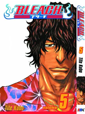 Vol. 5 English Manga Bleach Japanese Manga English Version Physical Book Hardcopy