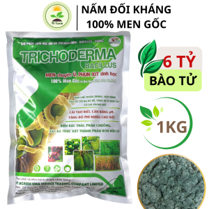 TRICHODERMA BACILLUS Đẩy Nhanh Quá Trình Ủ Và Không Có Mùi Hôi Đối Kháng Tuyến Trùng Cải Tạo Đất