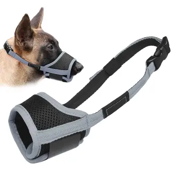 Dog muzzle lazada hotsell