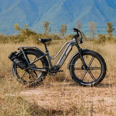 จักรยานไฟฟ้าเสือภูเขา FIIDO รุ่น Titan Robust Cargo ปี 2025 รุ่นใหม่ล่าสุด ระดับ A+++ เกรดส่งยุโรปและอเมริกา