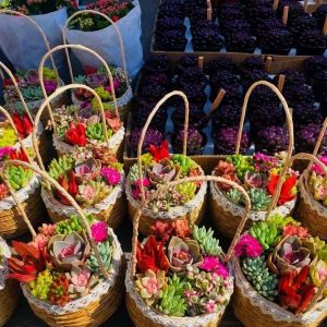 DOOUR Dệt thủ công Tay cầm giả mây Hộ gia đình có tay cầm Đan giỏ hoa Chất lượng cao 2 màu sắc Trang trí phòng khách Trang trí nhà cửa / Trưng bày trên bàn phục vụ nhà hàng