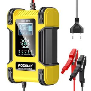 Charger Aki Motor Mobil Foxsur FBC122412D support 12V 12A - 24V 6A LiFePO4 Lithium