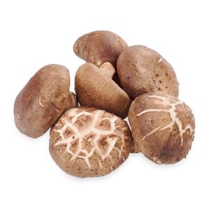 Mushroom Gourmet Shiitake Mushrooms