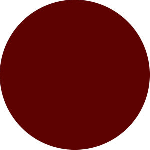 ( NHẬN THÊU THEO YÊU CẦU) Áo phông nam nữáo thun cao cấp áo thun áo thun nữ form rộng THÊU ĐẤT NƯỚC tee thun cotton 100%