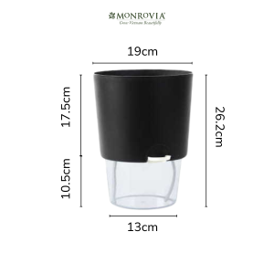 Chậu tự tưới trong suốt MONROVIA A712 cho cây cảnh hoa bonsai để bàn decor ban công