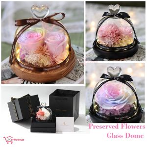 Preserved Flower Glass Dome Rose Carnation - Clear Display Jar LED Fairy Lights - Wedding Anniversary Birthday Gift