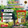 ปุ๋ยสตาร์เฟอร์ 3 สูตร ครบทุกความต้องการของต้นเงาะ สูตรเร่งโต สูตรเร่งราก เร่งดอก สูตรเร่งผล ขยายขนาด เพิ่มผลผลิต. 