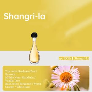 New Air Freshener Spray Rechargeable Aroma Diffuser Essential Oil Diffuser Home Diffusers Toilet Fragrance Hotel Humidifier Perfume Aromatherapy Aroma Diffuser Aroma Oil BurnersSmell 香薰機 芳香機 for Room Bedroom Toilet Office