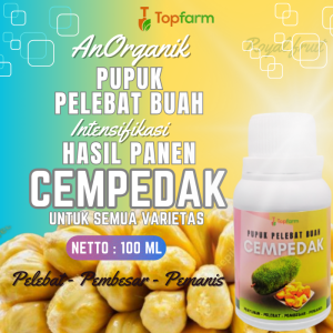Pupuk Pelebat Buah Cempedak / Pupuk Buah Cempedak / Pupuk Nangka Cempedak / Pupuk Buah Biar Cepat Berbuah / Pupuk Buah Super Lebat