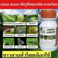 กอร์ดอน ออร์แกนิค ตร้าก้าวทวี สมุนไพรกำจัดศัตรูพืช เป็นออร์แกนิคไม่มีสารเคมี ไม่มีสารตกค้าง. 