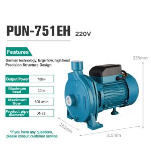 LEO Centrifugal Water Pump Pam Air 1 Inch / 1HP Water Pump 750W Pipeline Centrifugal Pump/Electric Water Pump Automatic Water Pump 220V Automatic Booster Pump 增压水泵