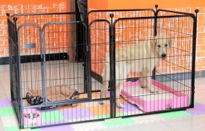 Metal Foldable Pet Safety Gate/Adustable Pet Fence Barrier/70/80/90/100cm Height 6 Panel per set (with Gate)/Local Stock
