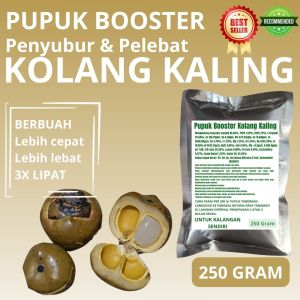 Pupuk Booster Kolang Kaling / Obat Booster Kolang Kaling / Pupuk Booster Kolang Kaling