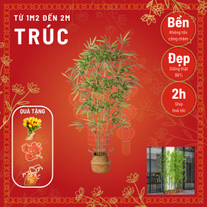 Chậu cây trúc quân tử giả - Size từ 120cm đến 200cm - Cây giả hoa lụa Decor trang trí nhà cửa