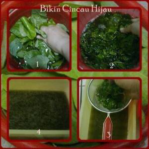 Bibit tanaman cincau hijau perdu