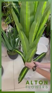 100 TYPES! Artificial Potted Plants Faux Fake Tree Home Decor Indoor Event Aplant781