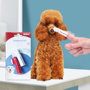BIOLINE Toothpaste toothbrush for Dog Cat Fresh Breath Mint/Orange/Beef Flavor dental care 100g enzymatic cleaner