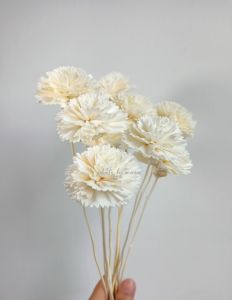 ดอกไม้ดูดน้ำหอมติดก้าน คาร์เนชั่น ขนาด 5 ซม. ติดก้าน ดอกไม้ตกแต่ง ดอกไม้ประดิษฐ์ 10 ดอก