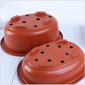 กระถางบอนไซ ทรงแบน ขนาดใหญ่พิเศษ จัมโบ้ กระถางพลาสติก กระถางสไตล์จีน กระถางจีน กระถางวงรี กระถางทรงเตี้ย Bonsai pot oval plant pot big size plastic plant pot