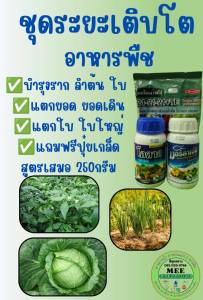 ปุ๋ยน้ำ ฟื้นต้น ต้นโทรม เร่งโต ราก ลำต้น ใบ แตกยอด ยอดเดิน แตกใบ ใบใหญ่ ได้น้ำ200ลิตร เอสทีม