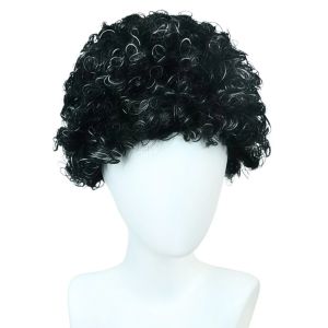 JOY Fancy Dress Adult Kid Afro Wig Funny Curly Halloween Rainbow Clown Wig Punk 80s Colorful Fan Hair Birthday Party
