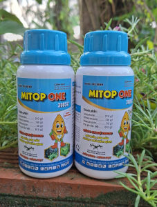 [VTNN TIEN KHOA] Trừ lem lép hạt lúa nếp làm sáng hạt sạch nấm bệnh MITOP ONE chai 240ml