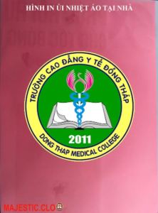 Hình in Logo trường học-công ty-gia đình ủi áo tại nhà đẹpchất lượngbám dính cao[IN LOGO ĐỒNG PHỤC TRƯỜNG HỌC 63 TỈNH THÀNH INBOX SHOP][IN LOGO đồng phục các Trường Học-Cty- Logo Gia Đình theo yêu cầu-MAJESTIC.CLO