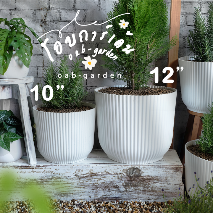 กระถางพลาสติกสีขาวมินิมอลและลูกฟูก ขนาด 10-12 นิ้ว