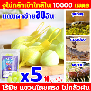 🐍ไม่มีงูเหลืออยู่ในรัศมี 100 ไมล์ 1 แพ็คมี10ผงไล่งู 1เม็ดใช้ได้1ปี แจกฟรีถุงตาข่าย ผงไล่งู ไล่งู กันลม กันฝน ไล่สัตว์เลื้อยคลาน และสัตว์เลื้อยคลาน ไม่มีสารเคมี ปลอดภัย ใช้งานง่าย ไล่แมลง ไล่งู สีเงิน แมลงและสัตว์เลื้อยคลานทุกชนิดคุณภาพสูง กำมะถันไล่งู