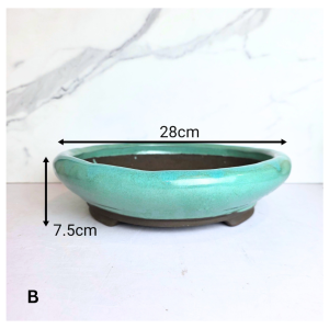 The Leaferie Bonsai (Series 99) plant pots. flowerpot flower pot planter Ceramic