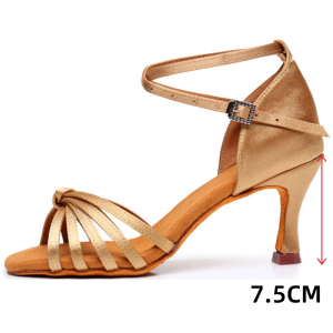 Latin Dance Shoes for Women Ballroom Dance Shoes Ladies Girls Modern Tango Dancing Shoes Salsa Practice Shoes 5/7CM heel