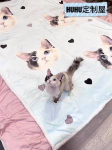 New CustomBlanket Air Conditioner Blanket Flannel Throw Blanket Dog Cat Custom Office Nap Essential LZD