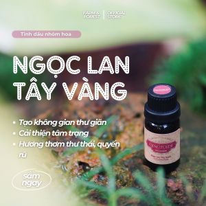 Tinh Dầu Ngọc Lan Tây Vàng | Tinh Dầu Farm & Forest | Giúp Ngủ Ngon Cân Bằng Cảm Xúc