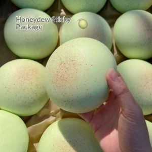 YZLong Honeydew Melon Squishy Stress Relief Toy - Soft Slow Rebound Anti-Stress Play for All Ages