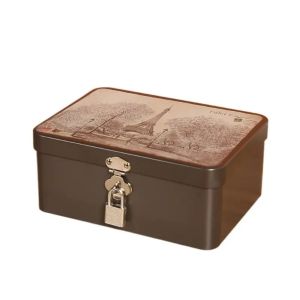 SKYJS Multi-purpose Tinplate Box High Quality Large Capacity Jewelry Storage Metal Box Storage Case with Lock Locking Storage Trunk Household