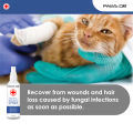 Paws Dr Pet Antiseptic and Antifungal Spray for Cats and Dogs. 